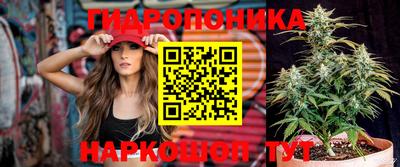 spice Апрелевка