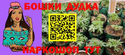 spice Апрелевка